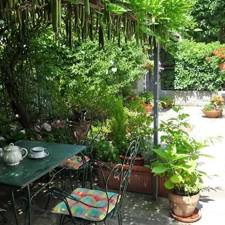 Apartment Mia Og Balkon- Und Gartenwohnung Gravedona